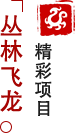 方特東方神畫(huà)-叢林飛龍